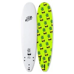 Board De Surf Wave Bandit By Catch Surf Ben Gravy - EZ Rider