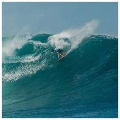 Ailerons Surf Fcs Fcs II Deus Tri Pc -Quiksilver Surf Boutique d9df146a8ee382c9de9f8b965434c0d1b23e0d6b E23FCSEWAT399315 904